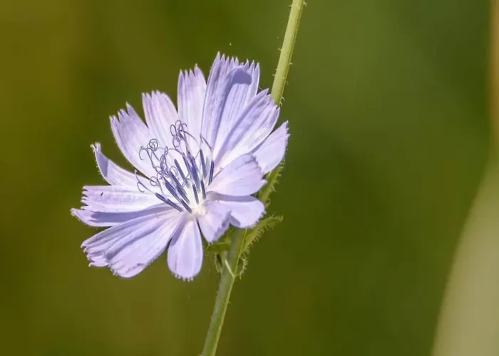 In 度假居 Hattemerbroek